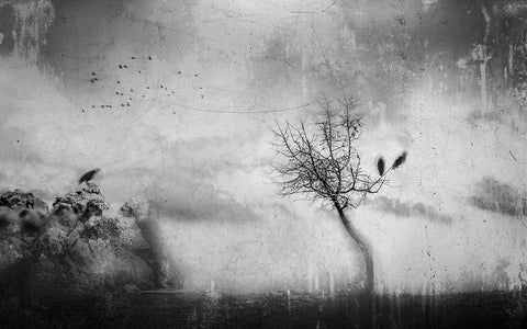 A Slowly Fading Memory White Modern Wood Framed Art Print with Double Matting by Dauria, Adam