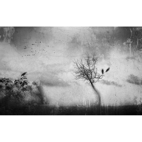 A Slowly Fading Memory Black Modern Wood Framed Art Print by Dauria, Adam