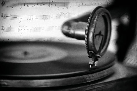 Vivace Black Ornate Wood Framed Art Print with Double Matting by Schleicher-Schwarz, Roswitha