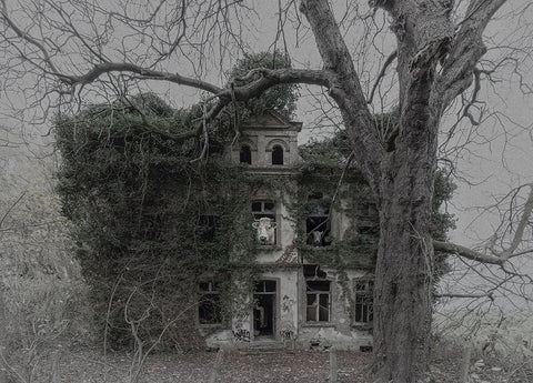 The Last Inhabitants Black Ornate Wood Framed Art Print with Double Matting by Hageman, Michiel