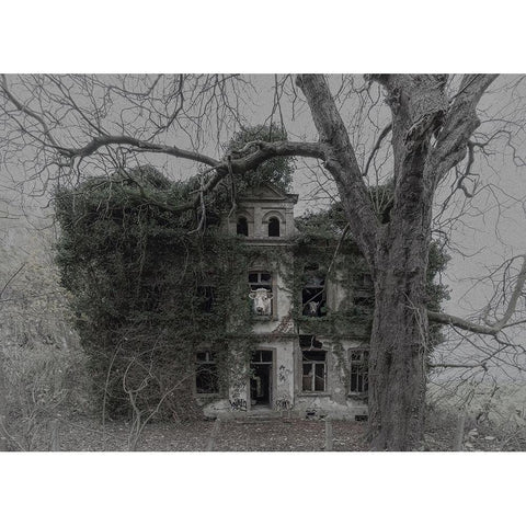 The Last Inhabitants Gold Ornate Wood Framed Art Print with Double Matting by Hageman, Michiel