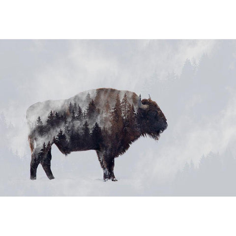 Bison - Double Exposure Gold Ornate Wood Framed Art Print with Double Matting by Beata, Angyalosi