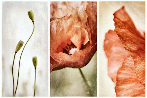 Untitled White Modern Wood Framed Art Print with Double Matting by Davidsson, Gustav