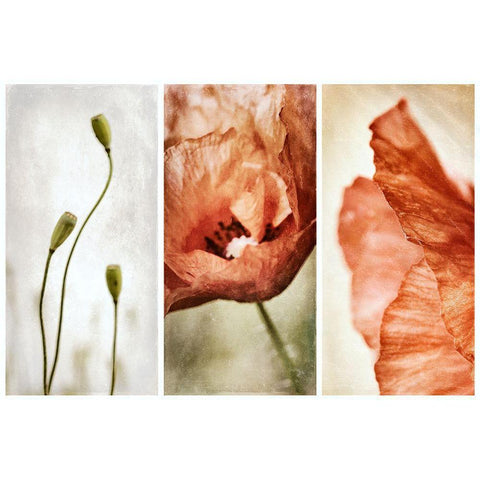 Untitled Gold Ornate Wood Framed Art Print with Double Matting by Davidsson, Gustav