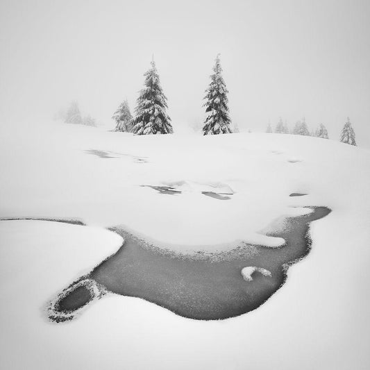 Image Only