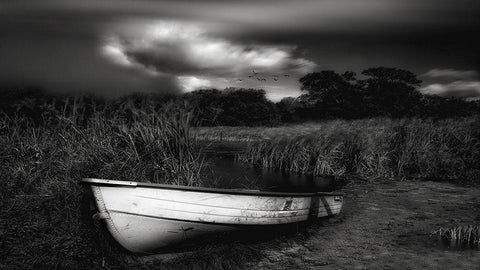 Beautiful! Magnificent Desolation... Black Ornate Wood Framed Art Print with Double Matting by Depaepe, Yvette