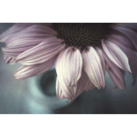 Meet Me Halfway Black Modern Wood Framed Art Print with Double Matting by Van Der, Corinna