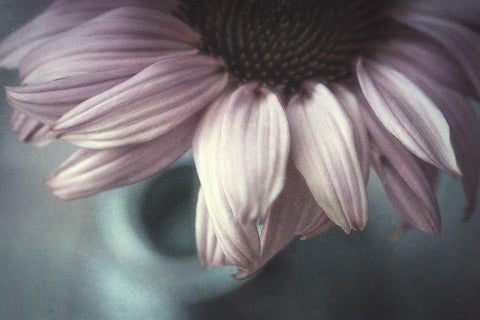 Meet Me Halfway White Modern Wood Framed Art Print with Double Matting by Van Der, Corinna