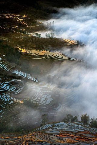 Colorful Rice Terraces White Modern Wood Framed Art Print with Double Matting by Zhu, Hua