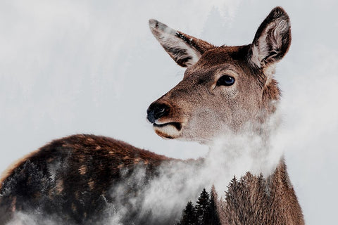 Breathe White Modern Wood Framed Art Print with Double Matting by Beata, Angyalosi