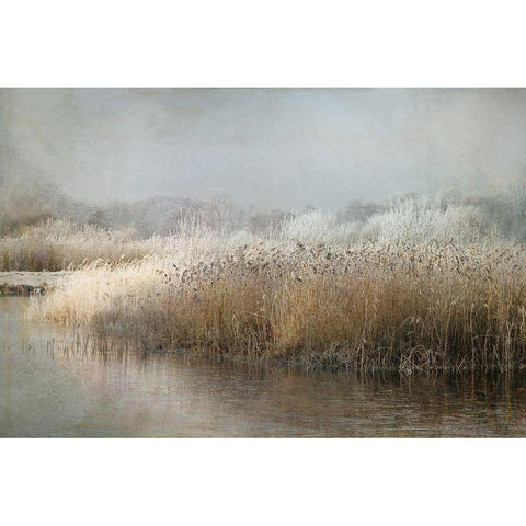 Wintermorning White Modern Wood Framed Art Print by Talen, Nel