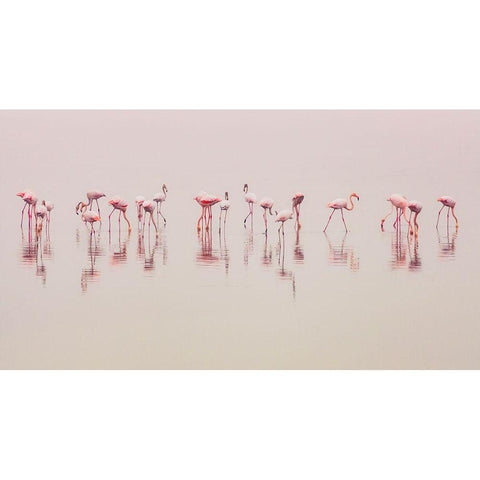 Water Ballet Black Modern Wood Framed Art Print by Thabet, Ahmed