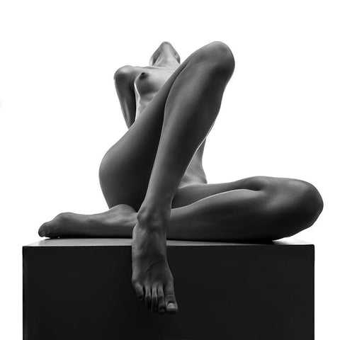 Proud On The Cube Black Modern Wood Framed Art Print with Double Matting by Valevicius, Aurimas