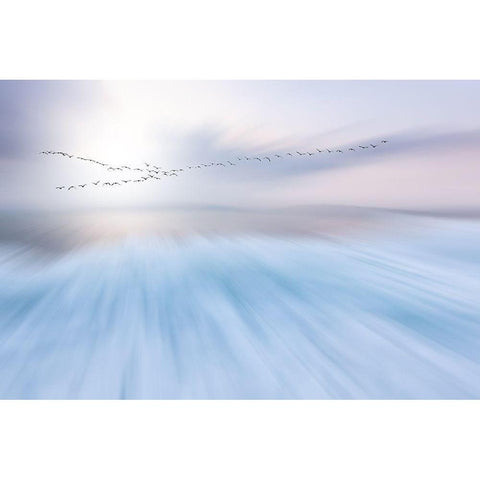 Fly Over Gold Ornate Wood Framed Art Print with Double Matting by Hermann, Uschi