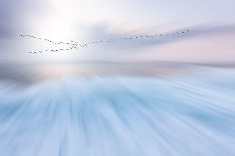 Fly Over White Modern Wood Framed Art Print with Double Matting by Hermann, Uschi