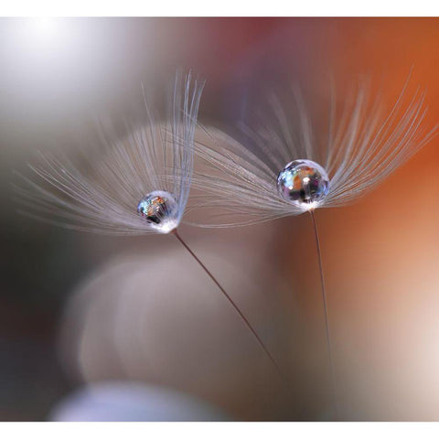 Immortal Love.. Gold Ornate Wood Framed Art Print with Double Matting by Nan, Juliana