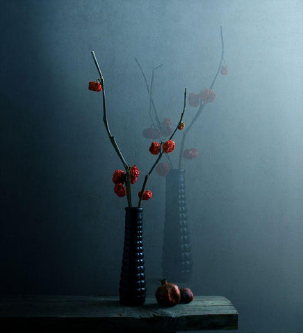 A Spectral Presence Black Ornate Wood Framed Art Print with Double Matting by Halaby, Margaret