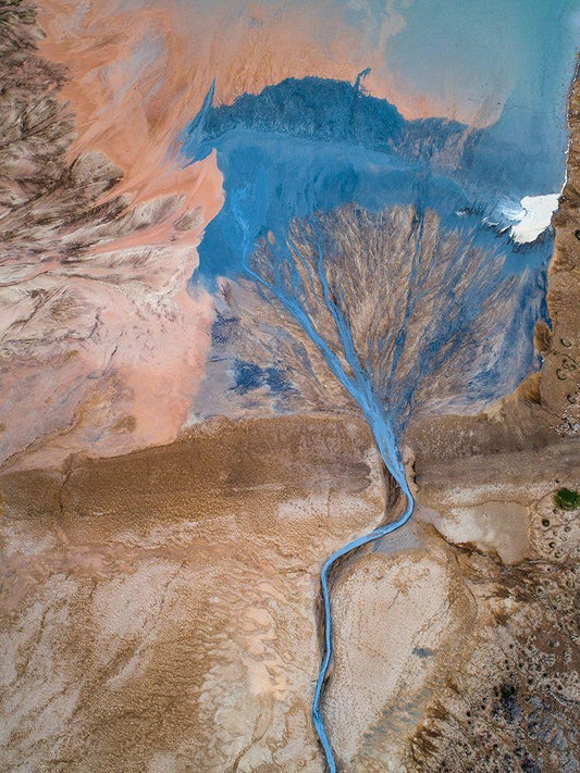 Image Only