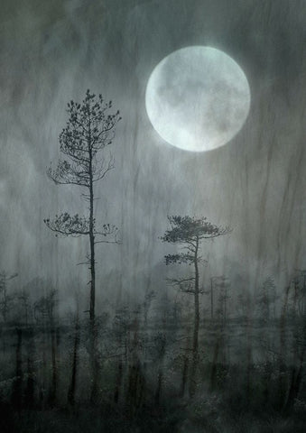 Under The Moon Black Ornate Wood Framed Art Print with Double Matting by Sillen, Christina
