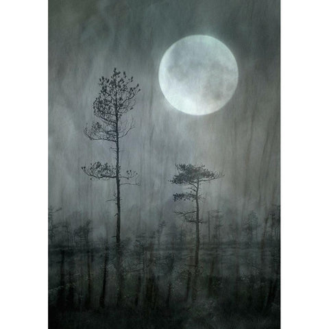 Under The Moon Gold Ornate Wood Framed Art Print with Double Matting by Sillen, Christina