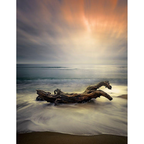 Morning Light Black Modern Wood Framed Art Print with Double Matting by Markova, Albena
