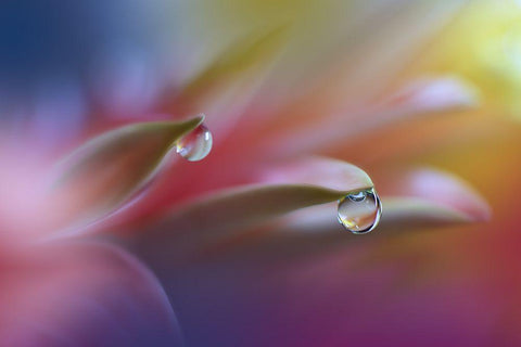 Sound Of Colors... White Modern Wood Framed Art Print with Double Matting by Nan, Juliana