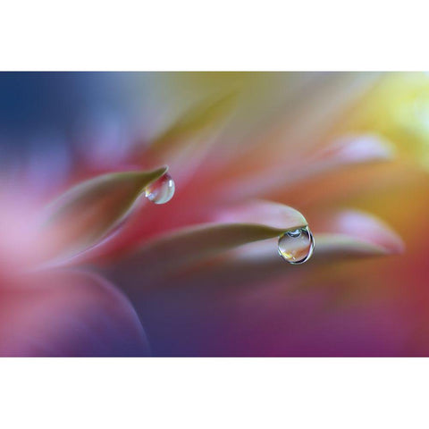 Sound Of Colors... Black Modern Wood Framed Art Print with Double Matting by Nan, Juliana