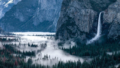 Spring In The Yosemite Valley White Modern Wood Framed Art Print with Double Matting by Darby, Rob