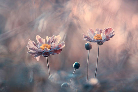 With Love Black Ornate Wood Framed Art Print with Double Matting by Bravin, Fabien