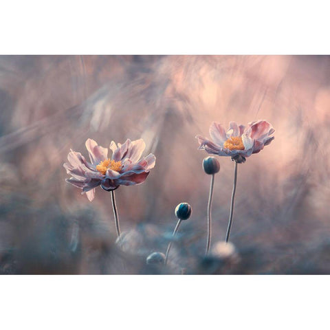 With Love Gold Ornate Wood Framed Art Print with Double Matting by Bravin, Fabien