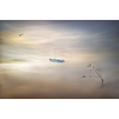 Dreaming Of The Sea White Modern Wood Framed Art Print by Osuna, Fran