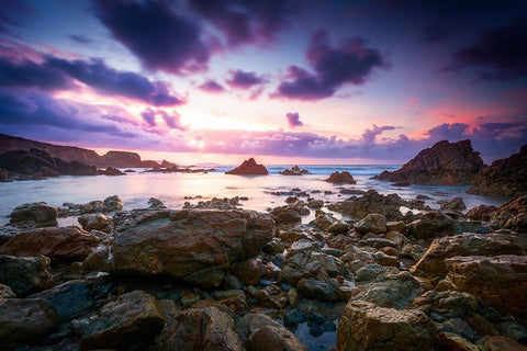 Ultraviolet Black Ornate Wood Framed Art Print with Double Matting by Rey, Roberto