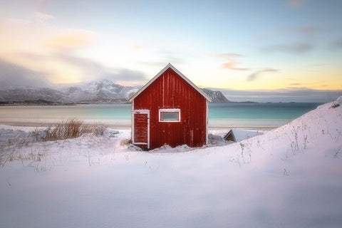 Under An Arctic Sky Black Ornate Wood Framed Art Print with Double Matting by Steeb, Martin