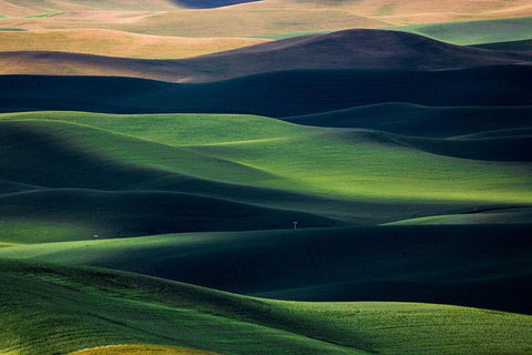 Flow Black Ornate Wood Framed Art Print with Double Matting by Xu, Tony