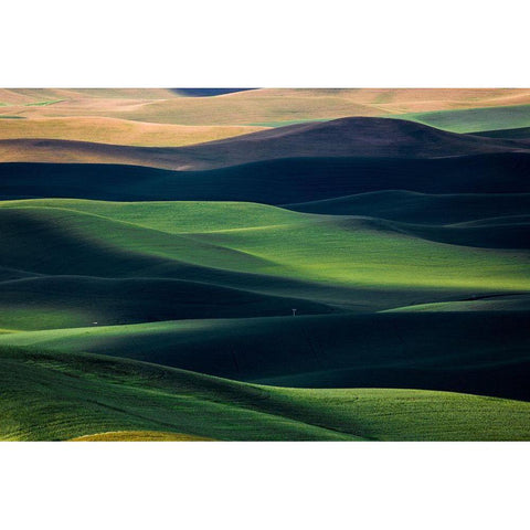 Flow Black Modern Wood Framed Art Print by Xu, Tony