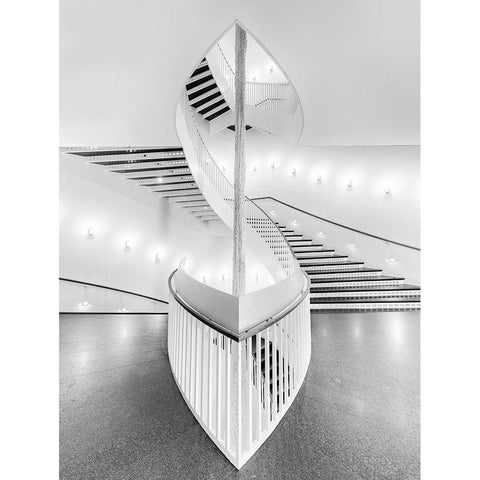 Spiral Staircase Black Modern Wood Framed Art Print with Double Matting by Zhao, Henry