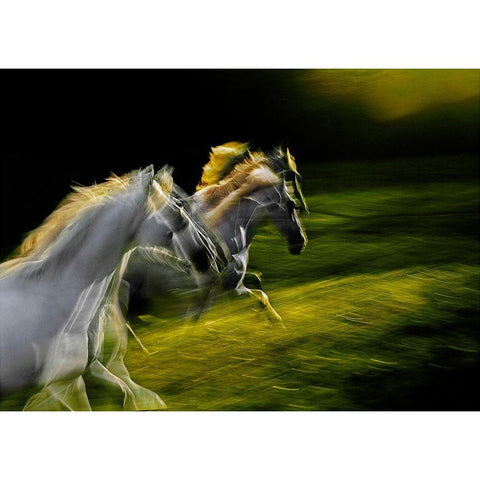 White Goddnesses Black Modern Wood Framed Art Print with Double Matting by Malovrh, Milan