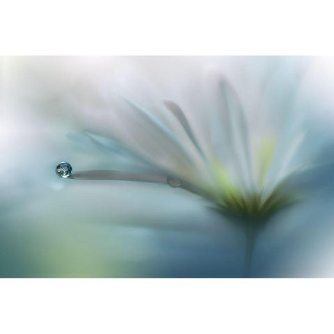 Fields Of Hope.. Black Modern Wood Framed Art Print with Double Matting by Nan, Juliana