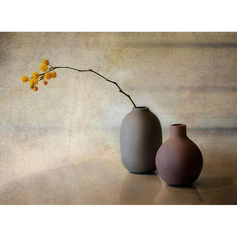 Untitled Black Modern Wood Framed Art Print with Double Matting by Arjona, Elena