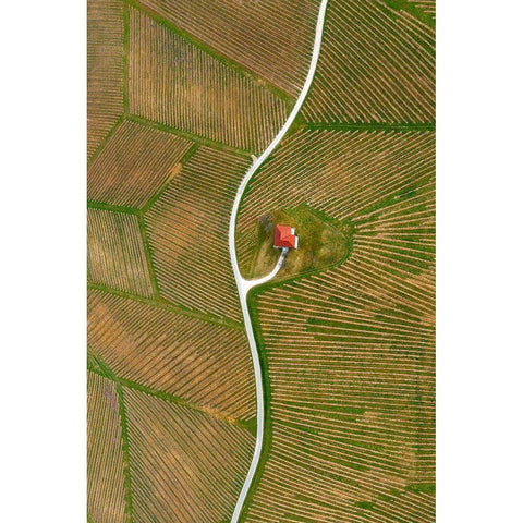 Vinyards Gold Ornate Wood Framed Art Print with Double Matting by Kravanja, Jure