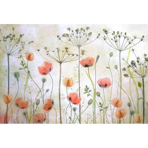 Poppy Meadow Gold Ornate Wood Framed Art Print with Double Matting by Disher, Mandy