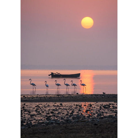 Morning Sunbath White Modern Wood Framed Art Print by Nikoloulis, Ilias