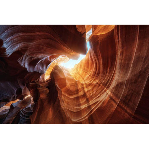 Antelope Hole. Gold Ornate Wood Framed Art Print with Double Matting by Pablo De, Juan