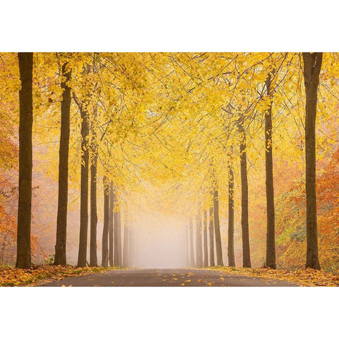 Autumn Road Gold Ornate Wood Framed Art Print with Double Matting by Keller