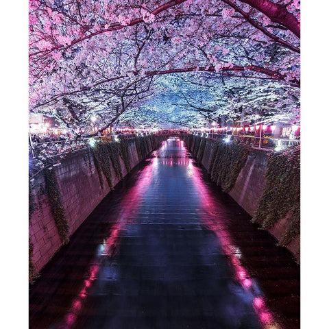 Sakura Season Gold Ornate Wood Framed Art Print with Double Matting by F4 Passion