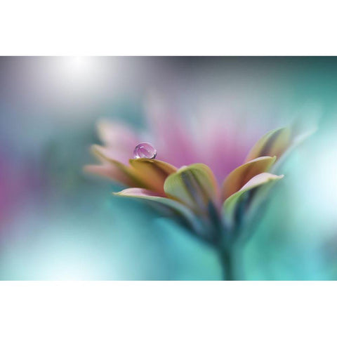 Memories Of Sea.. Black Modern Wood Framed Art Print by Nan, Juliana