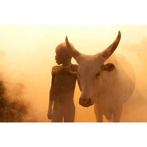 Boy Of Cattle White Modern Wood Framed Art Print by Alhumaid, Hesham