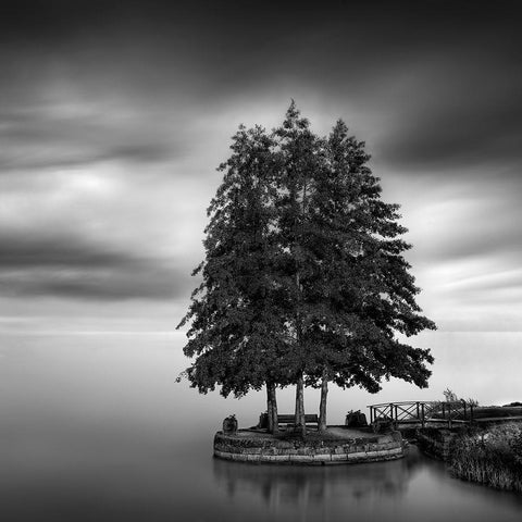 Sweden Landscape Black Modern Wood Framed Art Print with Double Matting by Digalakis, George