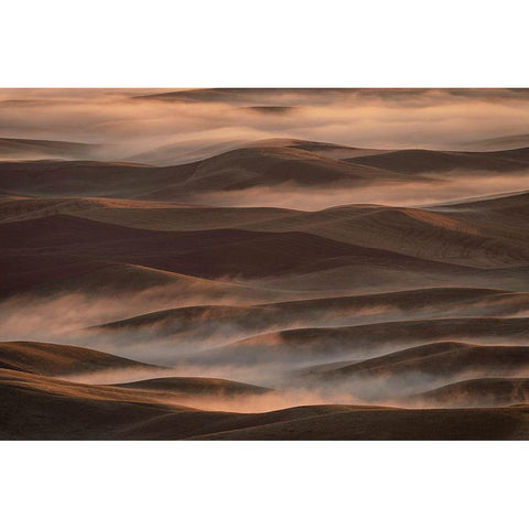 Early Spring Morning At Palouse Black Modern Wood Framed Art Print with Double Matting by Jacobs, Lydia