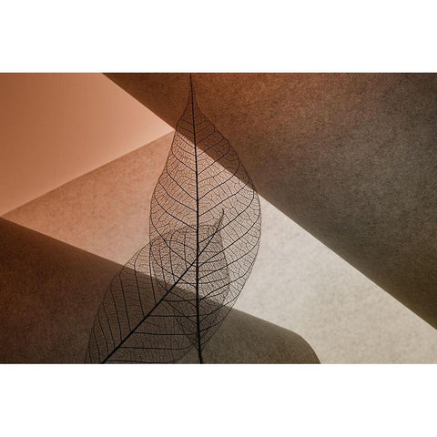 Leafs Black Modern Wood Framed Art Print by Kowatari, Shihya